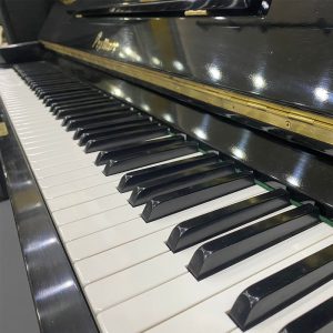 dan piano co pruthner gia re