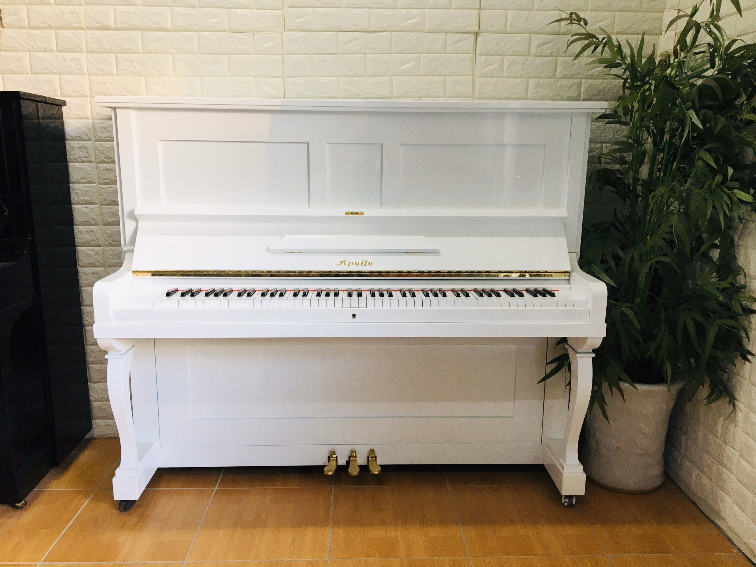 piano cơ apollo hải dương