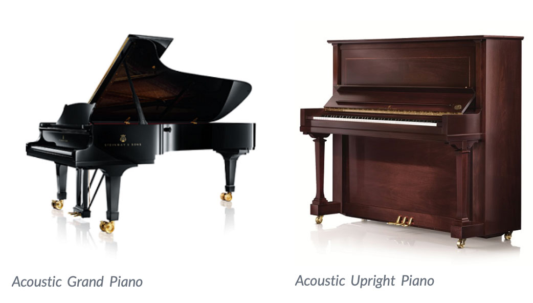 piano hải dương