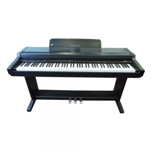 Đàn Piano Điện Kawai PW600