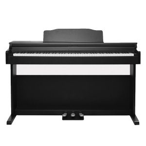 Đàn Piano Điện Apollo DP-66