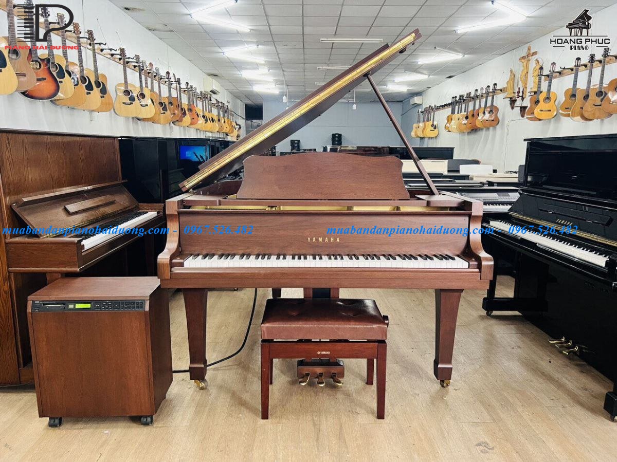 Đàn Piano Cơ Grand