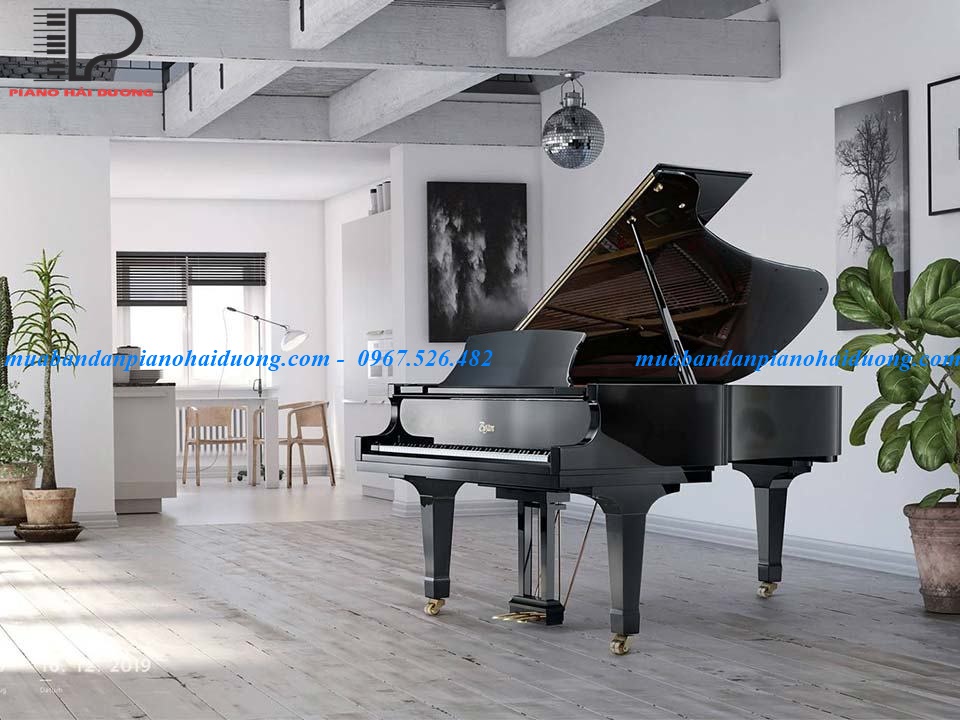 Đàn Piano Cơ Grand