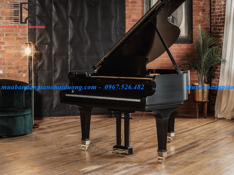 Đàn Piano Cơ Grand