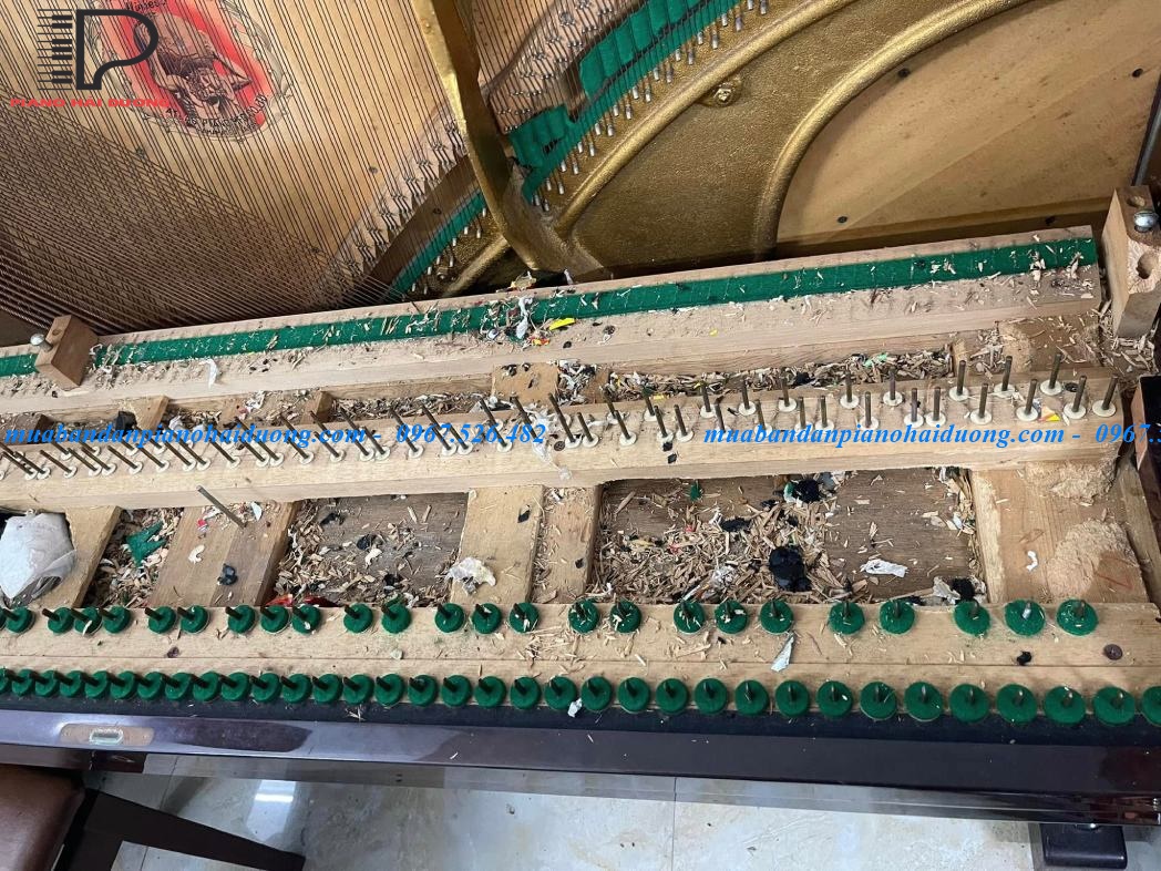 sửa đàn piano hải Dương