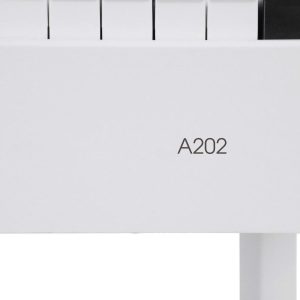 Đàn Piano Điện Asahi A202 ( Chính Hãng Full Box) 2 dan piano dien asahi a202 4
