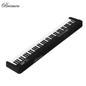 Đàn Piano Bremen BM300 (new) 1 piano bremen bm300 2
